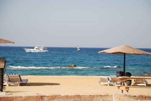 النهار نيوز