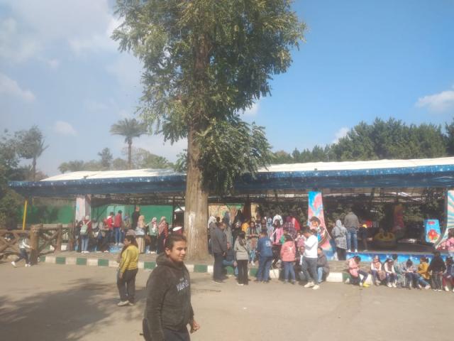 النهار نيوز