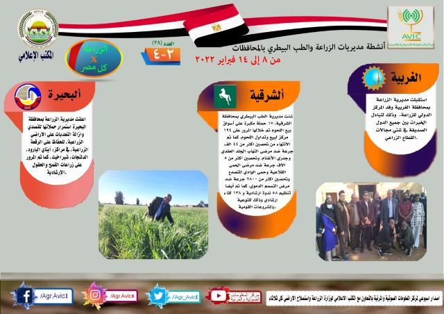 النهار نيوز