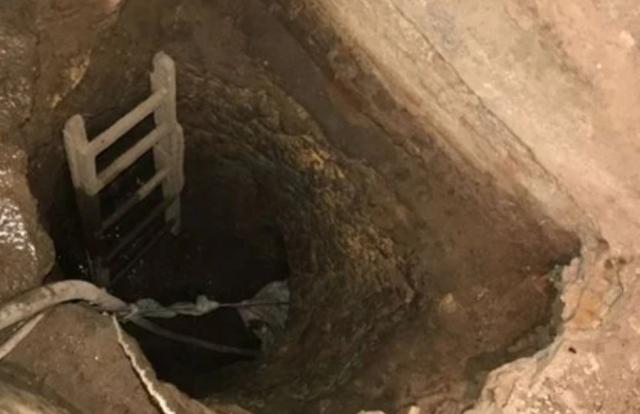 النهار نيوز