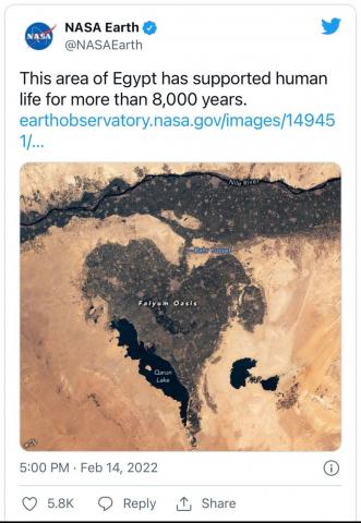 النهار نيوز