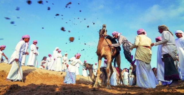 النهار نيوز