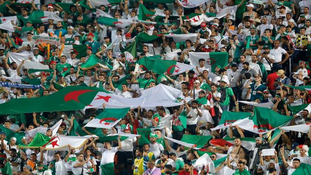 أنصار المنتخب الجزائري