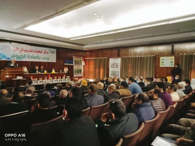 النهار نيوز