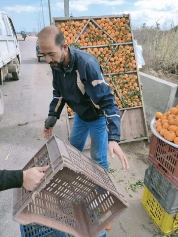 النهار نيوز