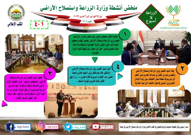 النهار نيوز