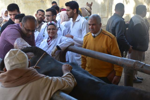 النهار نيوز