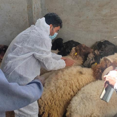النهار نيوز