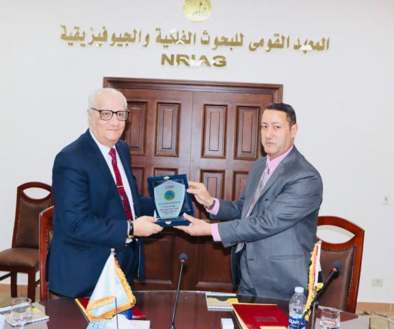 النهار نيوز