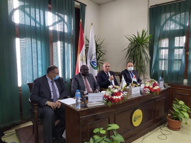 النهار نيوز