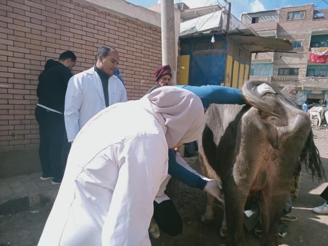 النهار نيوز