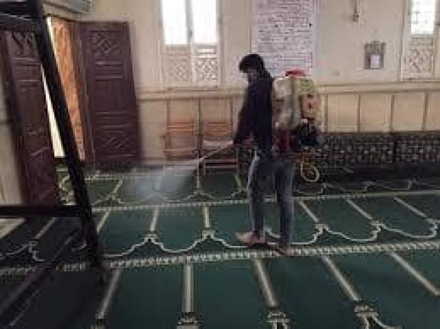 النهار نيوز