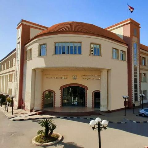 النهار نيوز