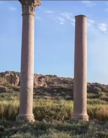 النهار نيوز