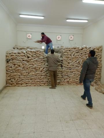 النهار نيوز