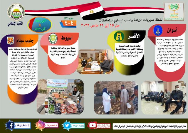 النهار نيوز