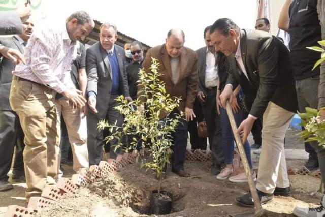النهار نيوز
