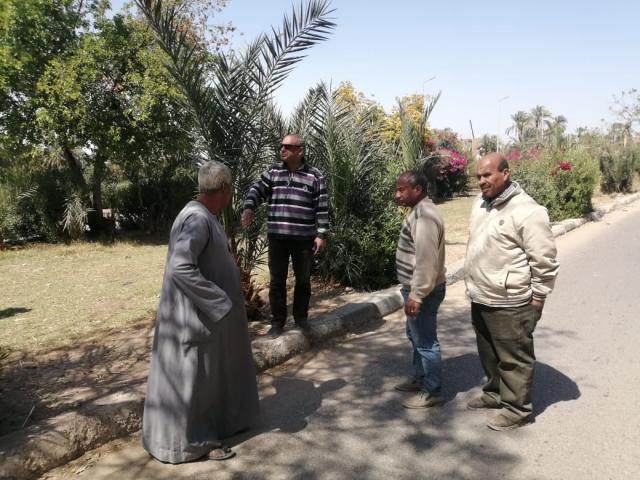 النهار نيوز