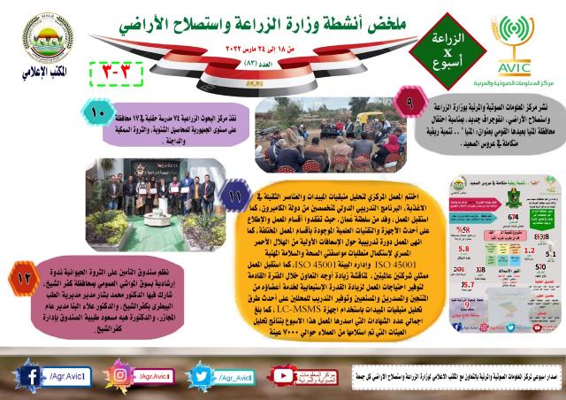 النهار نيوز
