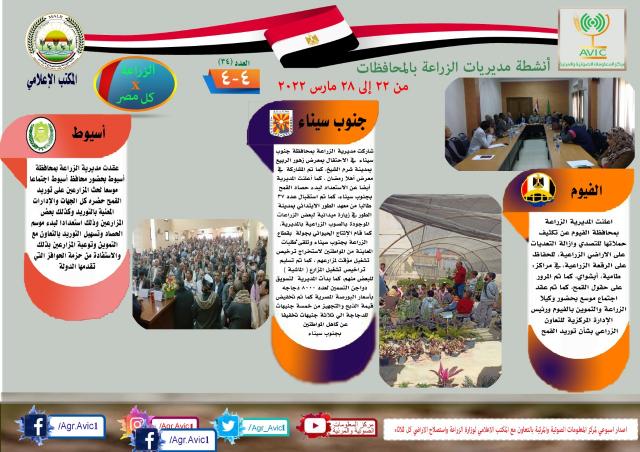 النهار نيوز