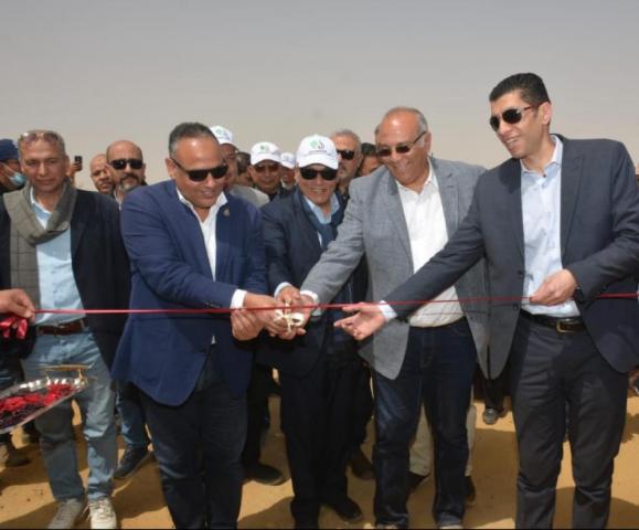 النهار نيوز