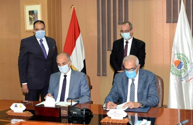 النهار نيوز