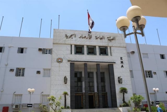 النهار نيوز