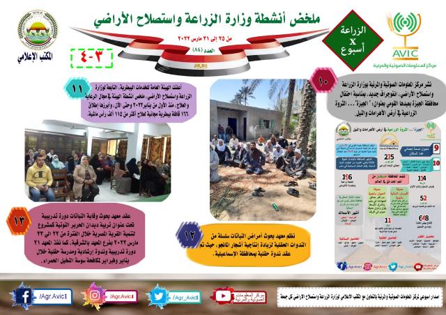 النهار نيوز