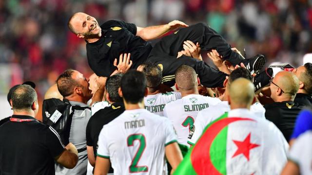 المدرب جمال بلماضي