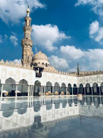النهار نيوز