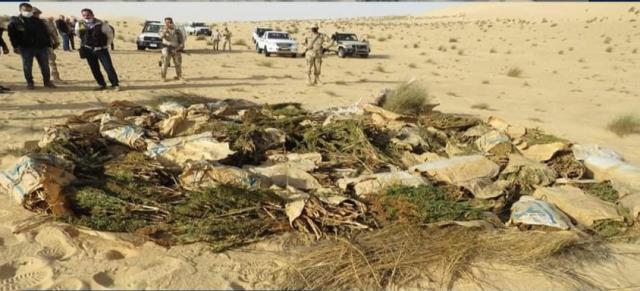النهار نيوز