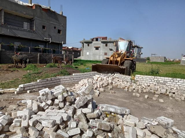 النهار نيوز