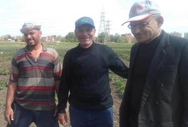 النهار نيوز