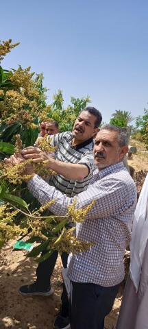 النهار نيوز