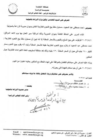 النهار نيوز