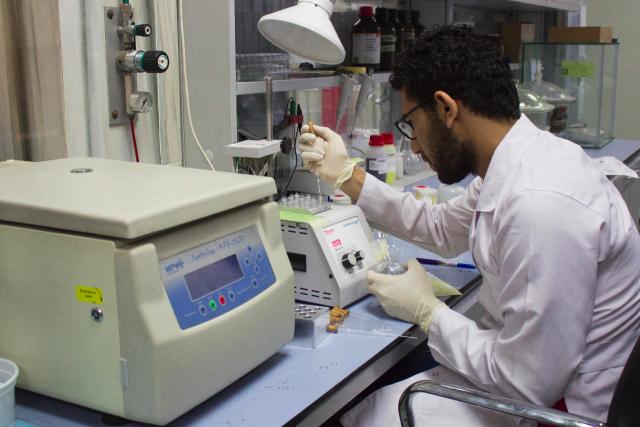 النهار نيوز