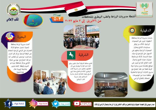 النهار نيوز