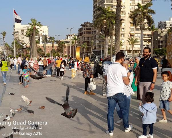 النهار نيوز
