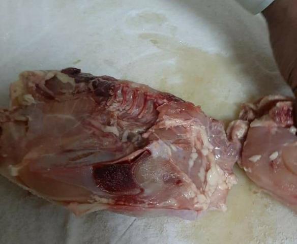 النهار نيوز