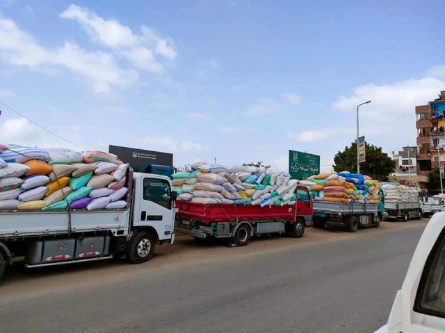 جانب من استلام القمح