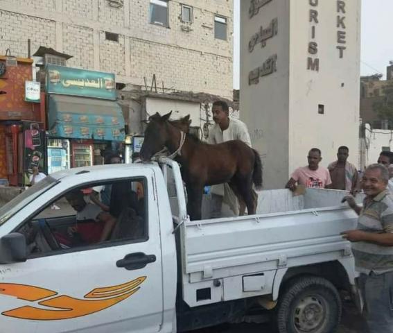 النهار نيوز