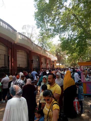 النهار نيوز