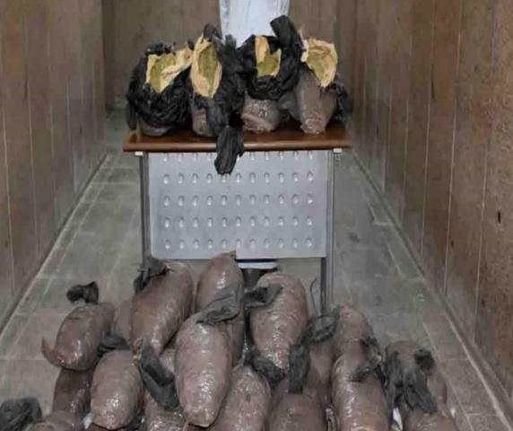 النهار نيوز