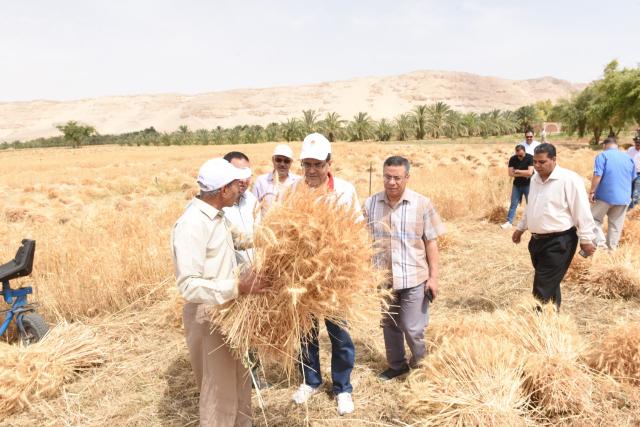 النهار نيوز
