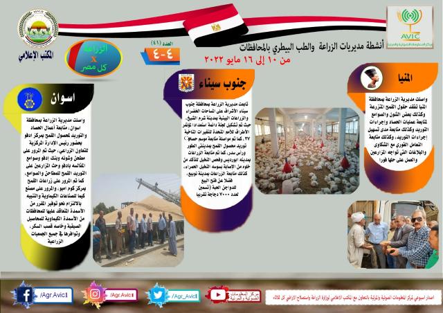النهار نيوز