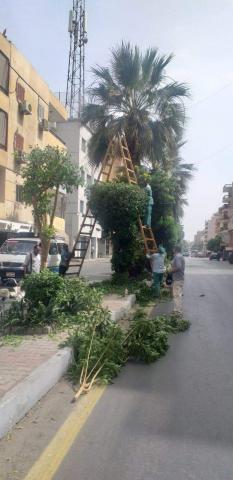 النهار نيوز