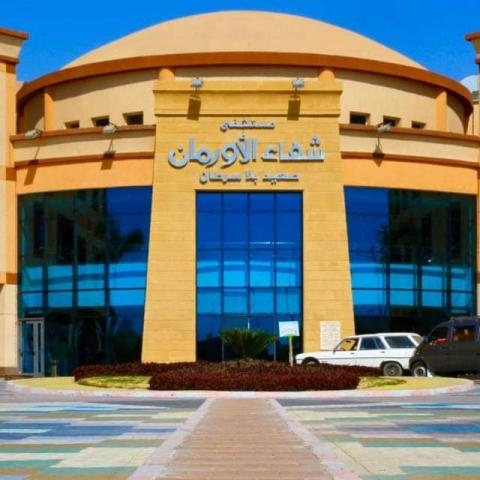 النهار نيوز