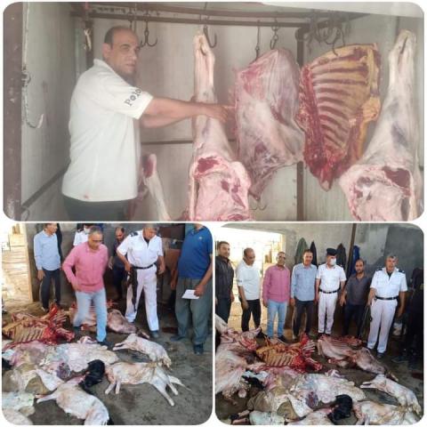 النهار نيوز