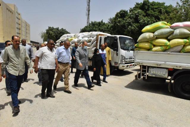 النهار نيوز