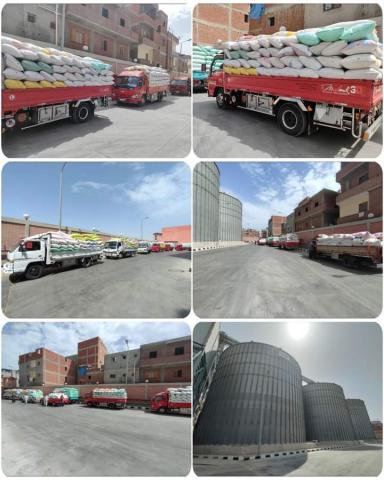 النهار نيوز